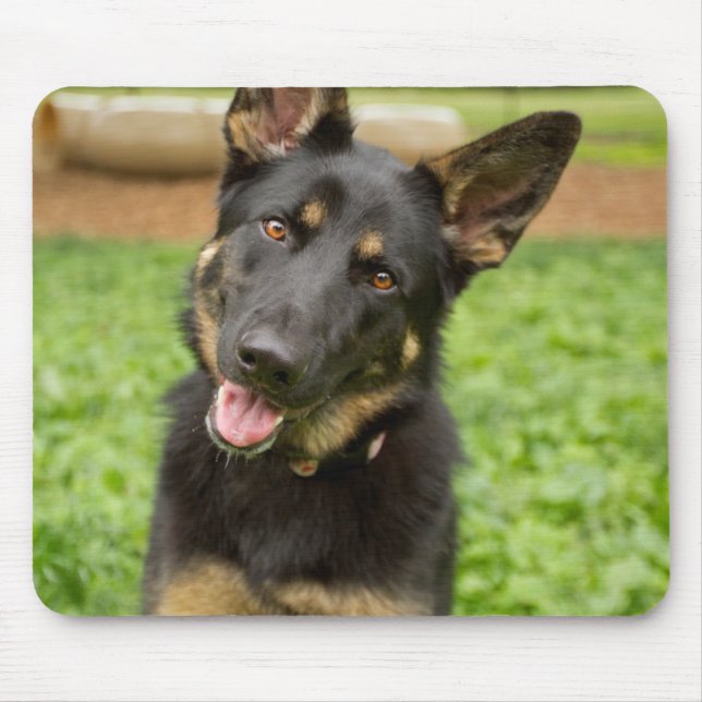 Tapis De Souris Portrait d'un berger allemand (Devant)