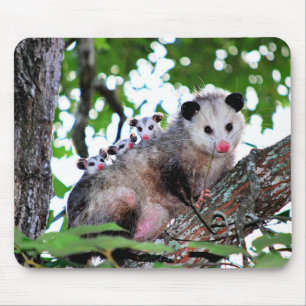 Tapis De Souris Possum, maman et bébés