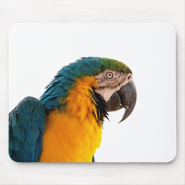 Tapis De Souris Post-it Notes perroquet (Devant)
