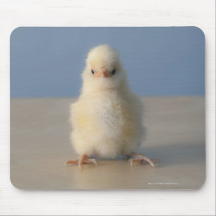 Tapis De Souris Poulet jaune se reposant de bébé, 3 jours de