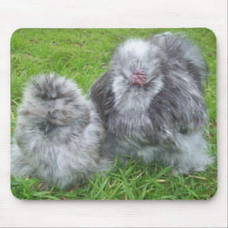 Tapis De Souris Poulet Mousepad de Silkie