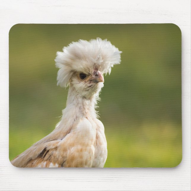 Tapis De Souris Poulet polonais drôle (Devant)