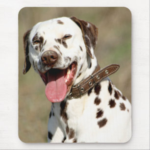 Tapis de souris pour chien dalmatien