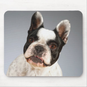 Tapis de souris pour chiot Bouledogue Français ado