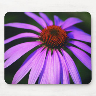 Tapis de souris pourpre de marguerite