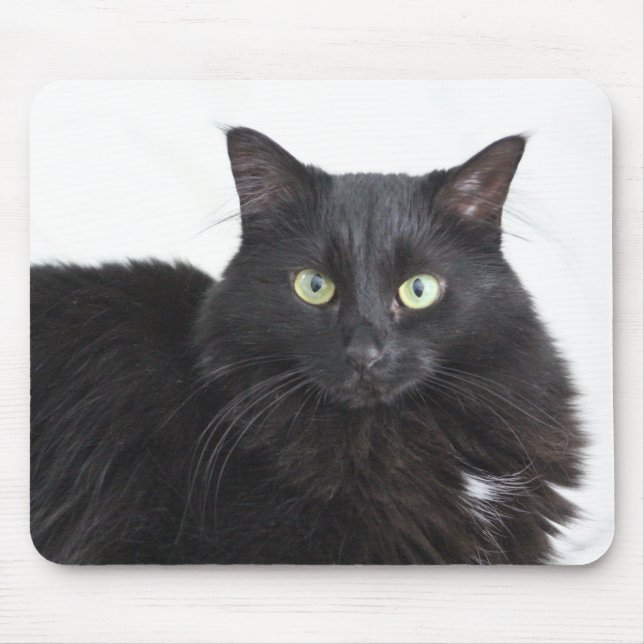Tapis De Souris Poussière de chat noir (Devant)