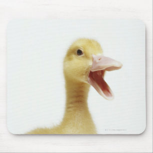 Tapis De Souris Poussin de canard de Pekin, tête-tir