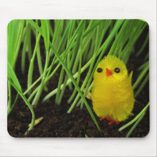 Tapis De Souris poussin d'herbe