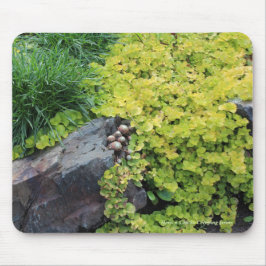 Tapis De Souris Poussins Jenny de rampement des poules n