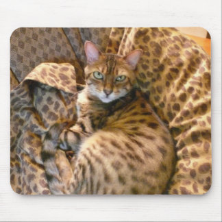 Tapis De Souris Pouvez-vous me voir ?