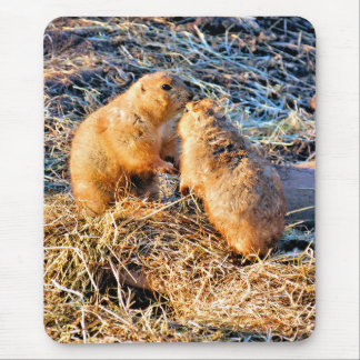TAPIS DE SOURIS PRAIRIE DOGS