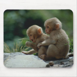 Tapis De Souris Préfecture de Nagano, Japon