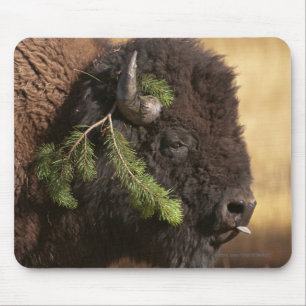 Tapis De Souris Préjudice de vacances