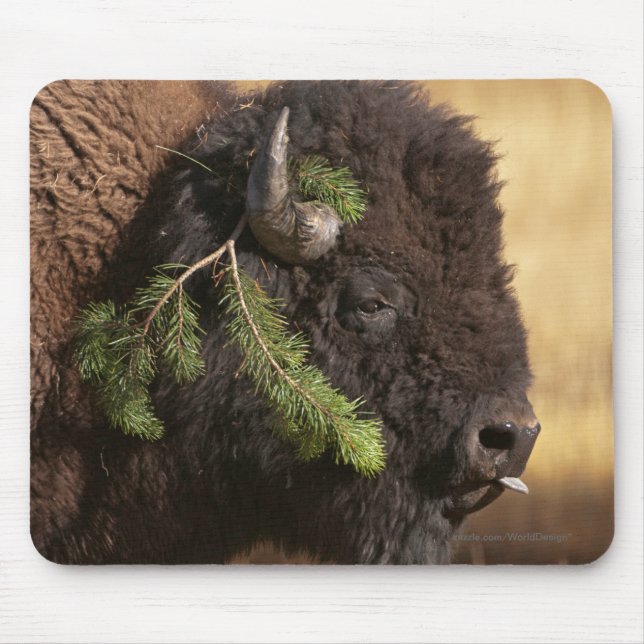 Tapis De Souris Préjudice de vacances (Devant)