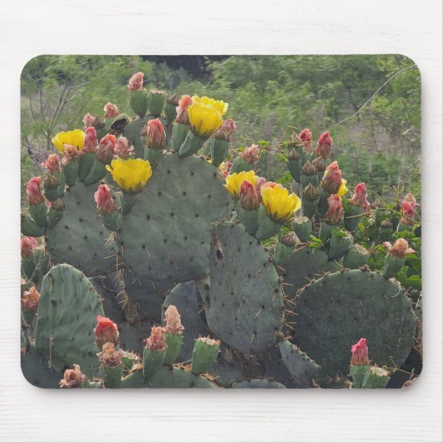 Tapis De Souris Prickly Pear Cactus (Devant)