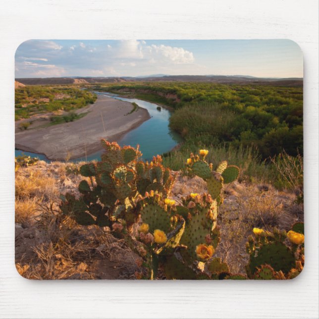 Tapis De Souris Prickly Pear Cactus (Opuntia Sp.) (Devant)
