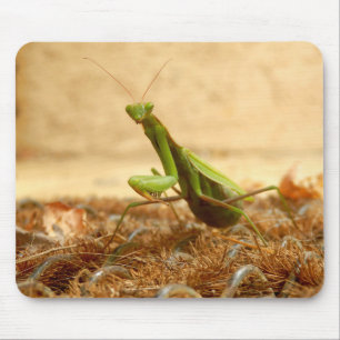 Tapis De Souris Prière Mantis Mouse Mat