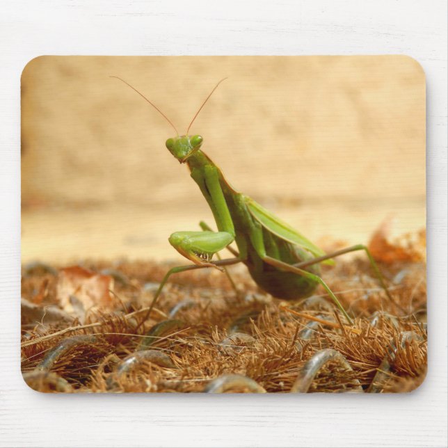 Tapis De Souris Prière Mantis Mouse Mat (Devant)