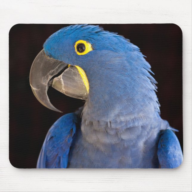 Tapis De Souris Princesse Tara Mousepad (Devant)