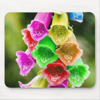 Tapis De Souris Printemps