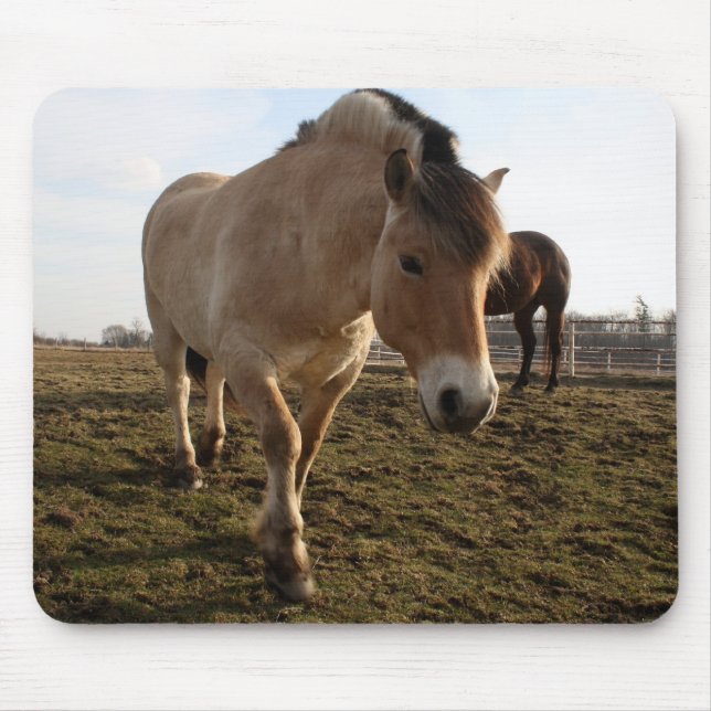 Tapis De Souris Printemps (Devant)