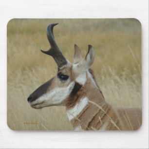 Tapis De Souris Profil de tête d'antilope d'A4 Pronghorn
