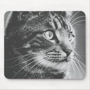 Tapis De Souris Profil tabby Gros yeux Noir et blanc