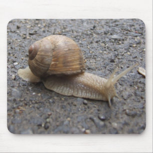 Tapis De Souris promenade