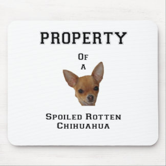 Tapis De Souris Propriété d'un chiwawa putréfié corrompu