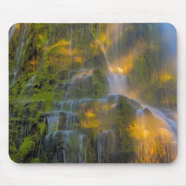 Tapis De Souris Proxy Falls Three Sisters Wilderness Oregon (Devant)
