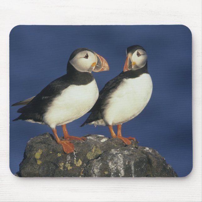 Tapis De Souris Puffin de l'Atlantique (Devant)