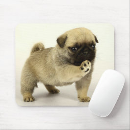 Tapis De Souris Pug puppy
