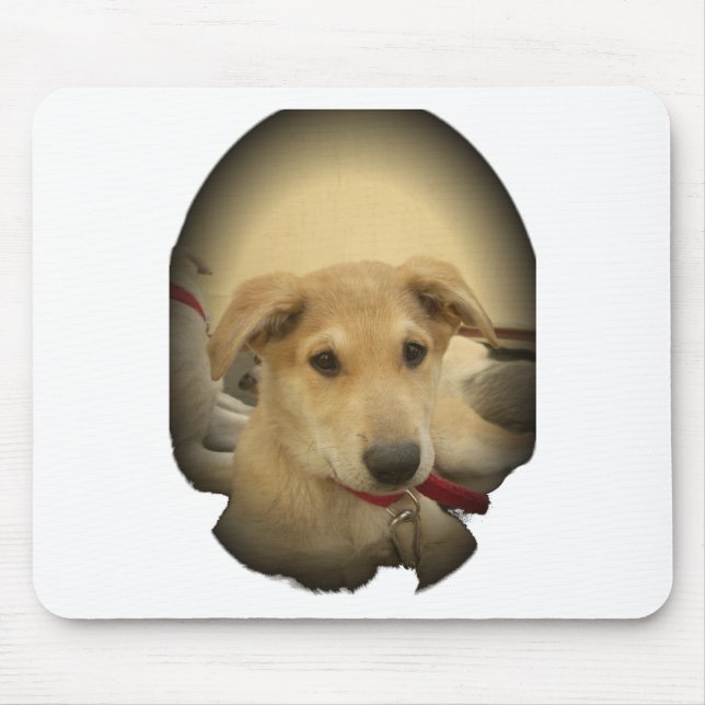 Tapis De Souris Puppy Love : Le meilleur ami de l'homme (Devant)