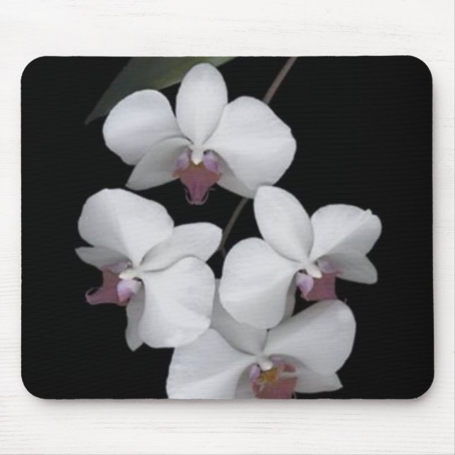 Tapis De Souris Pur (Devant)