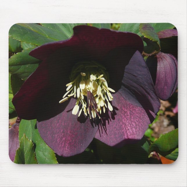 Tapis De Souris Purple Carême Rose Pâques (Devant)