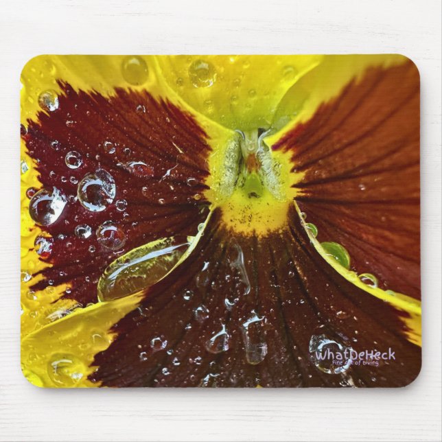 TAPIS DE SOURIS PW42 (Devant)