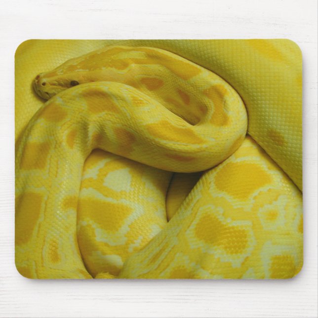 Tapis De Souris Python birman jaune (Devant)
