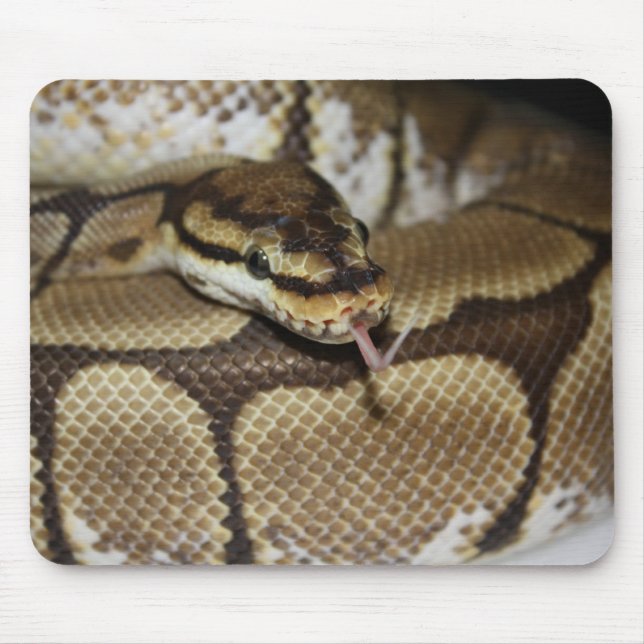 Tapis De Souris Python Mousepad de boule d'araignée (Devant)