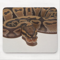 Python Mousepad de boule de fantôme