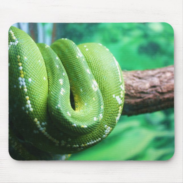 Tapis De Souris Python vert Mousepad d'arbre (Devant)