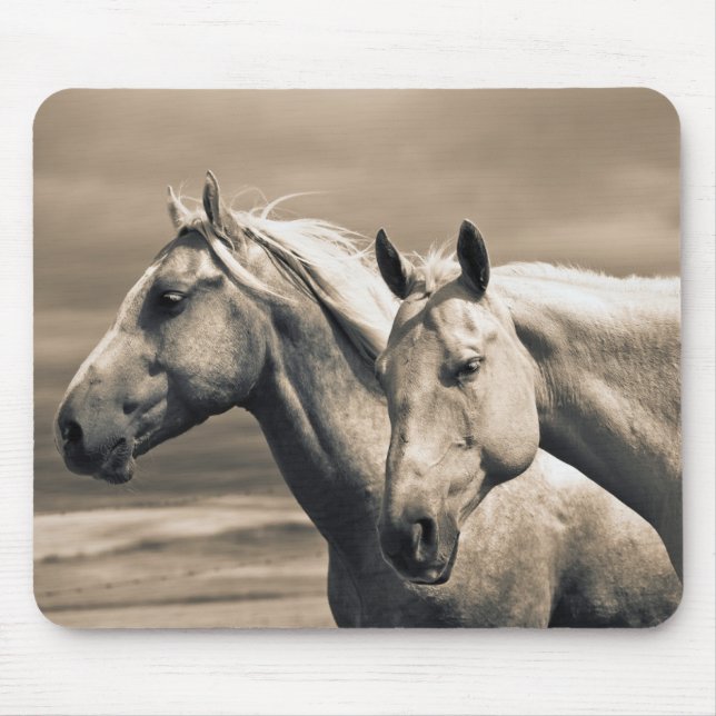 Tapis De Souris Quart De Chevaux Sur Les Prairies Canadiennes (Devant)