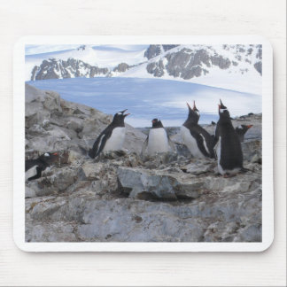 Tapis De Souris Quartet de raseur-coiffeur