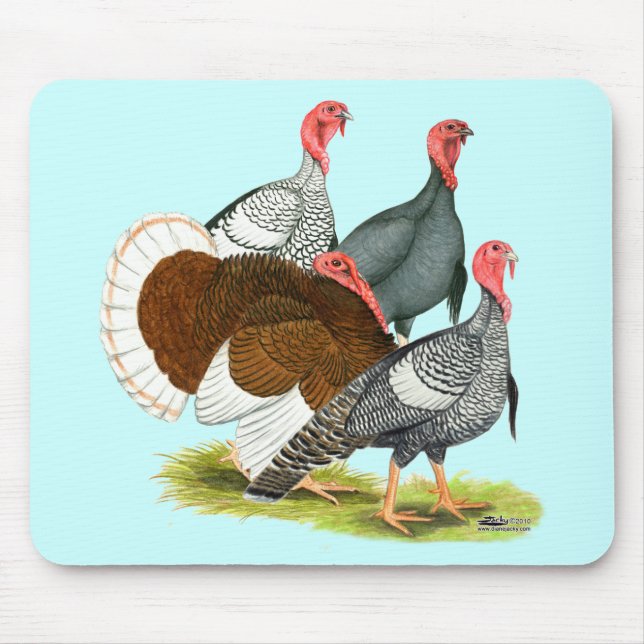Tapis De Souris Quartet de Turquie rare (Devant)