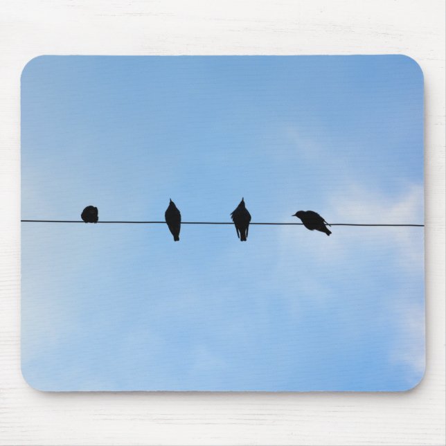 Tapis De Souris Quatre oiseaux sur un fil (Devant)