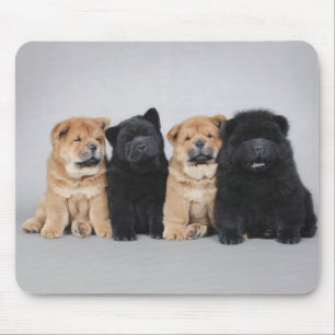 Tapis De Souris Quatre petits chiots de bouffe de bouffe