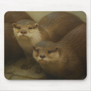 Tapis De Souris Quatuor Otter - Art de la faune