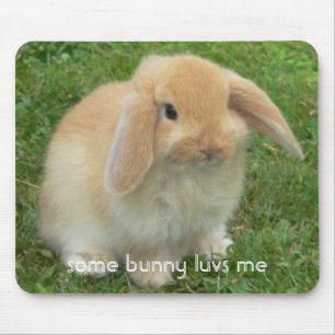 Tapis De Souris quelques luvs de lapin je