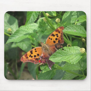 Tapis De Souris Question Mark Butterfly on Lantana