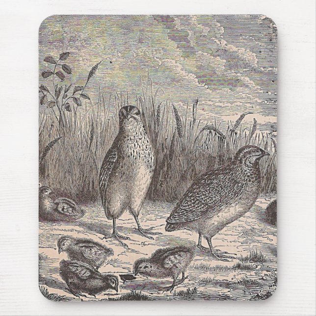 Tapis De Souris Queue (Devant)