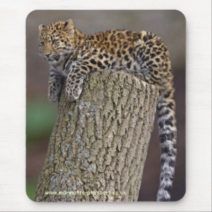 Tapis de souris Queue de Léopard